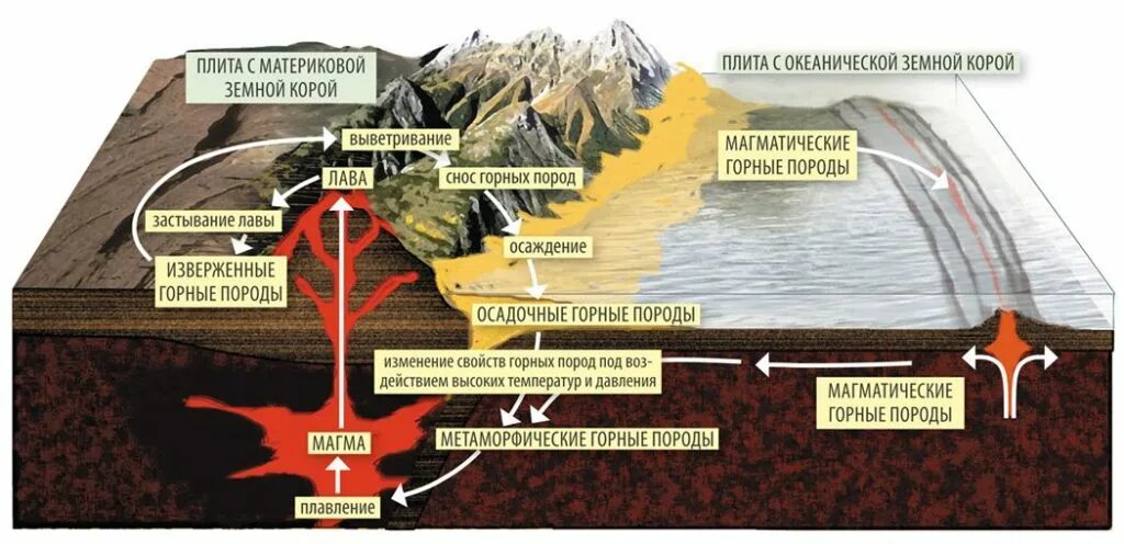 Объясните различия в расположении полезных ископаемых. Схема образования горных пород. Процесс формирования полезных ископаемых. Образование осадочных горных пород. Процессы образования метаморфических горных пород.