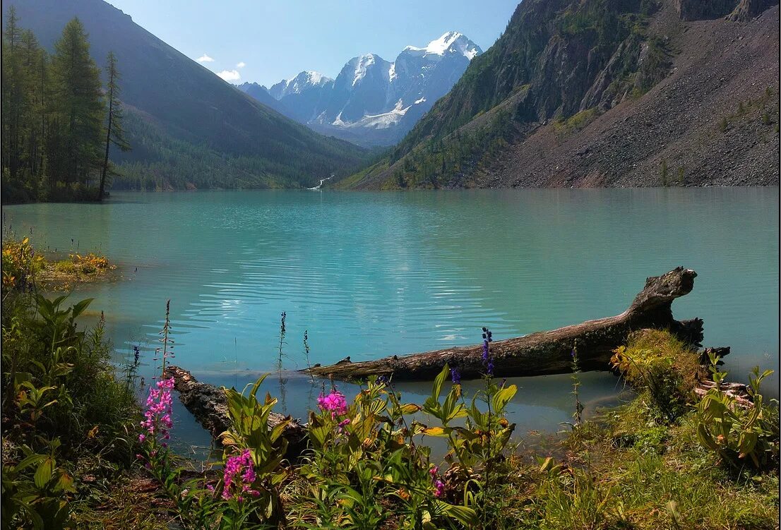 Самая живописная природа в россии. Горный Алтай озеро Шавло. Форелевое озеро Алтай. Кучерлинское озеро.