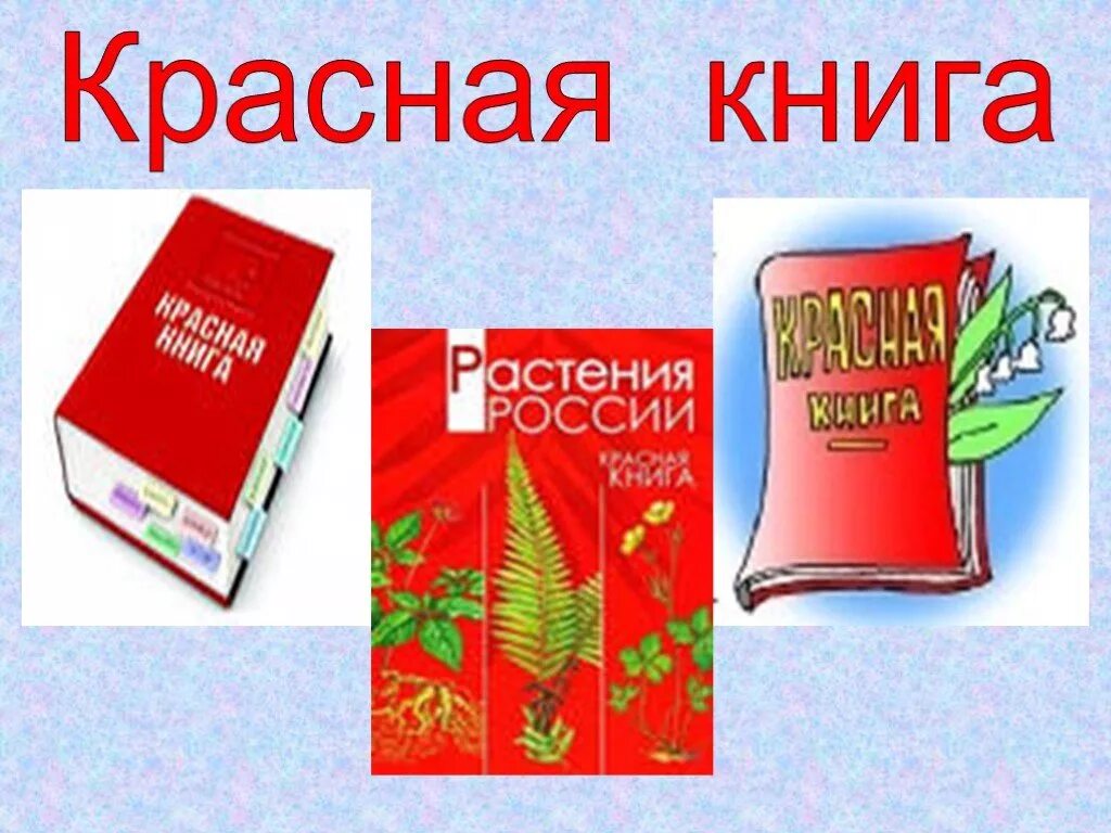 Красная книжка 2. Красная книжка 2. Проект презентация красная книга. Книга красная книга вчк. Красная книжка 2.