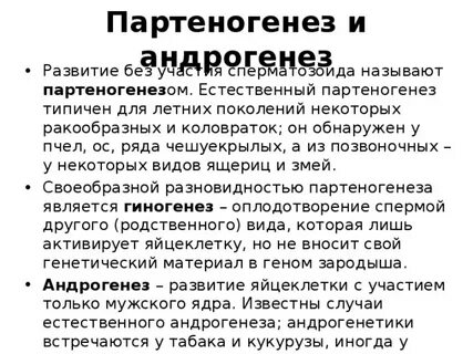 Андрогенез это в биологии