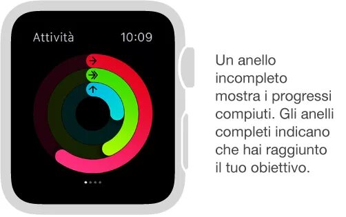 Кольца apple watch. Кольца активности Apple. Круги активности Apple. Кольца активности Apple фитнес. Кольца активности на айфон.