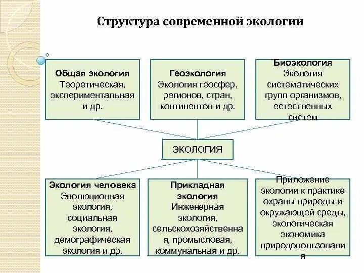 Структура содержания современной экологии. Упрощенная схема структура экологии. Структура содержания современной экологии схема. Структура современной науки экологии. Направление современной экологии