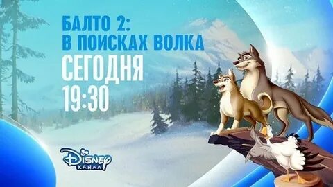 2 канал волки