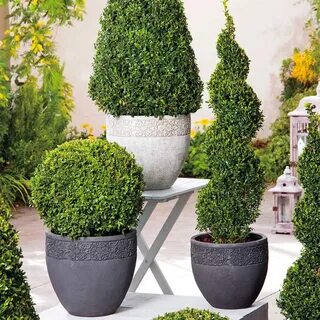 Planting boxes