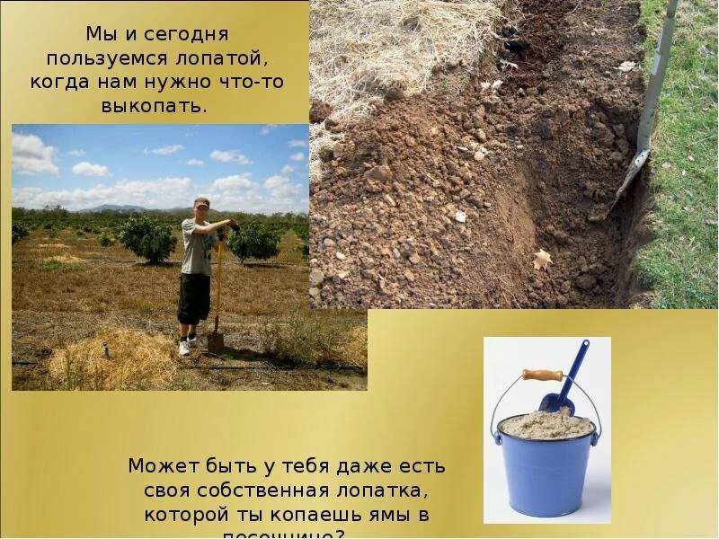 Выкапывай выкапывай его я тебя умоляю дзен