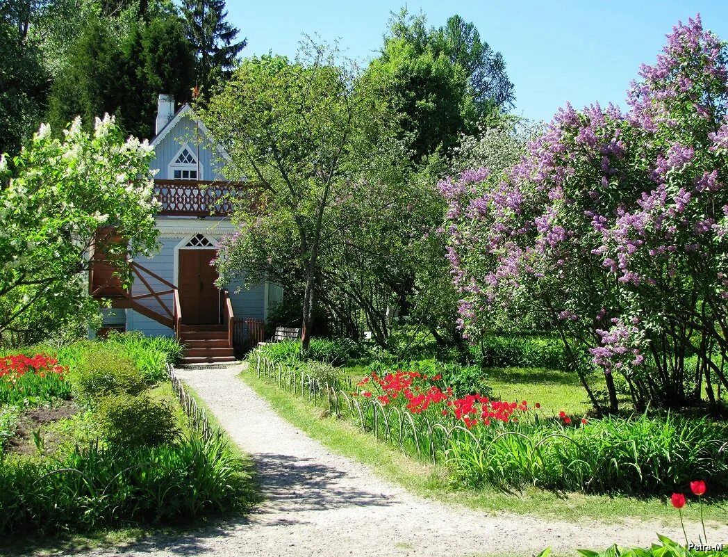 сквер чехова самара. сквер им чехова люблино. аллея чехова. город чехов центральный парк. сквер антона чехова москва.