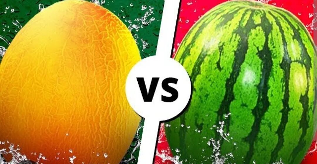 Melon vs melon