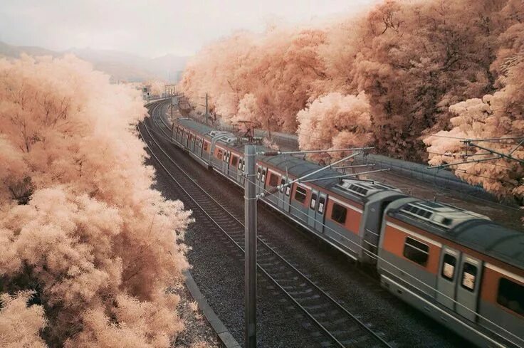 Pin on Design Ideas Train art, Scenery, Image overlay