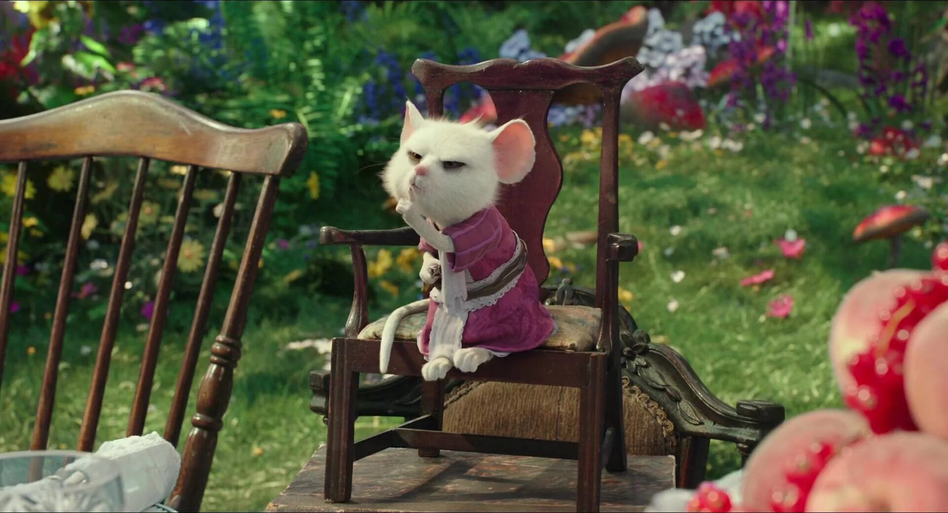 алиса мышей