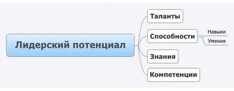 Лидерский потенциал