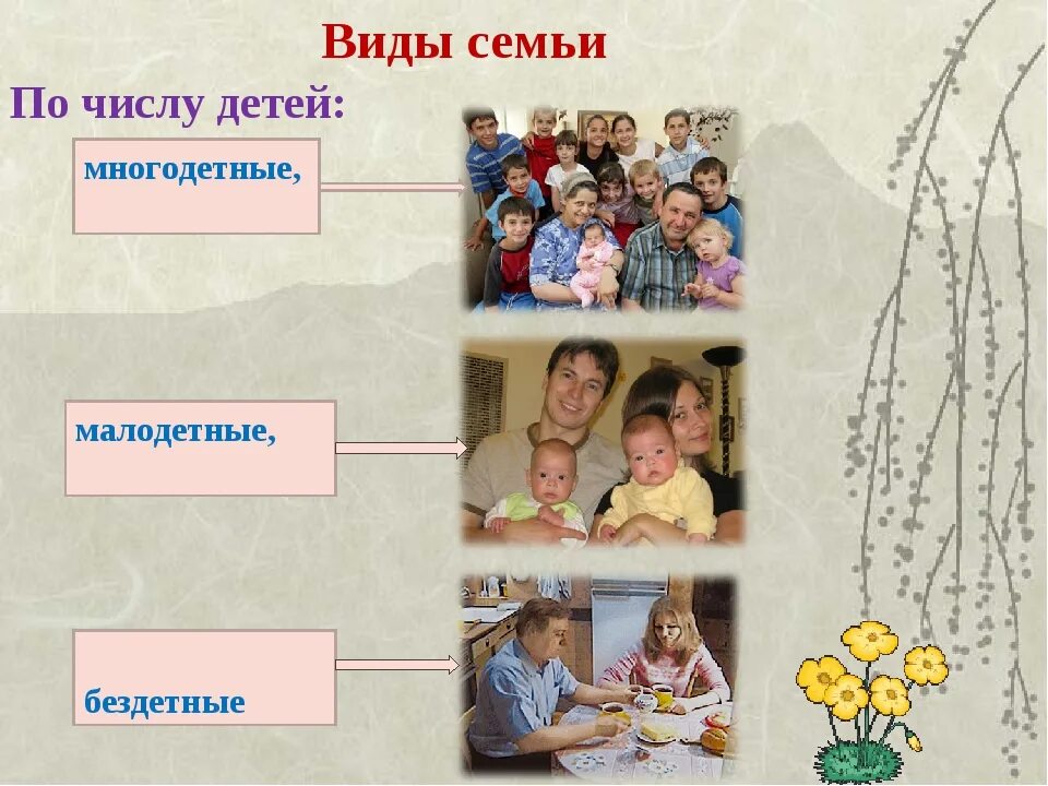 Одна дома тип семьи. Типы семей. Виды семей по числу детей. Семья виды семей. Семьи по количеству детей.