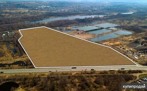42 гектара
