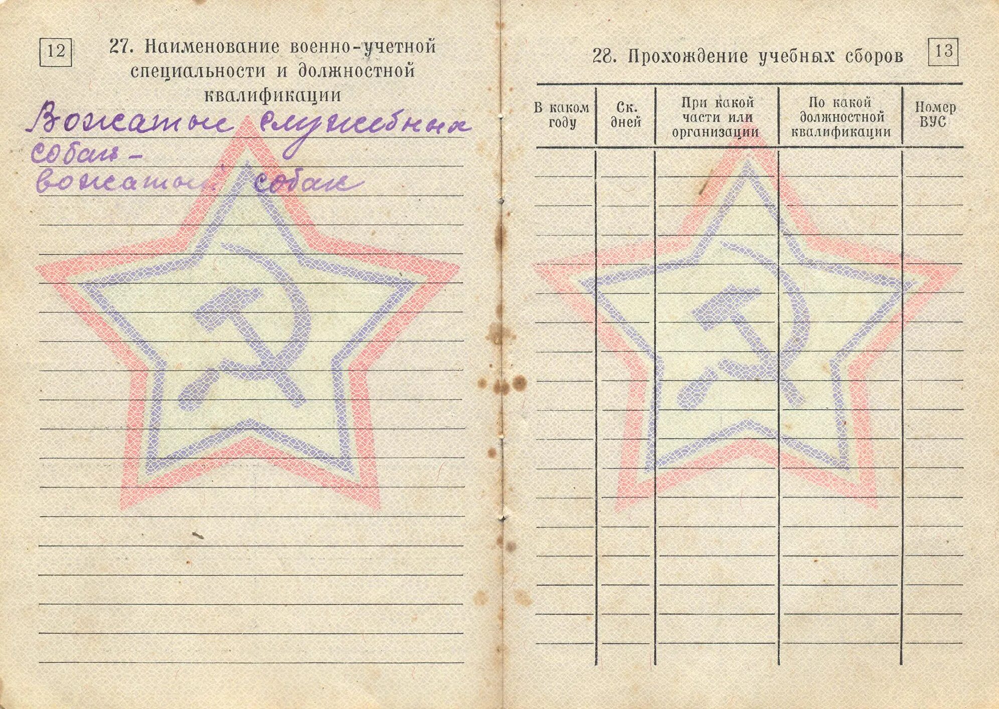 Если нету военного билета. Военный билет. Страницы военного билета. 7 Страница военного билета. Страница ВУС В военном билете.