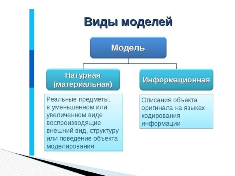 Виды моделей в информатике. Веды модели в информатике. Виды моделирования в информатике. 2 материальные модели