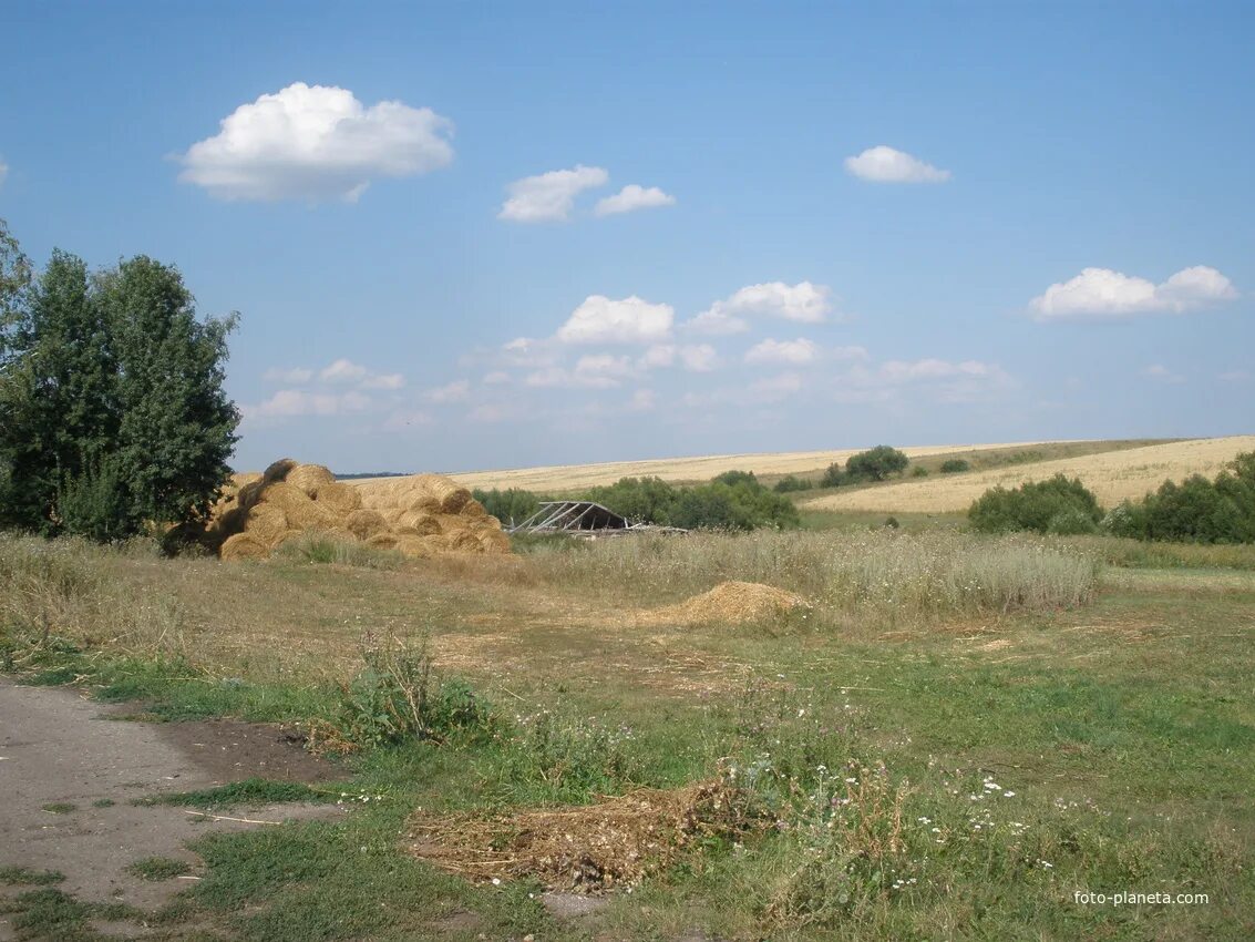 Земля каменский. Село Телятино Каменского района Пензенской области. Вражское Каменского района Пензенской области. Село Владыкино Каменский район Пензенская область. Фото Каменского района.