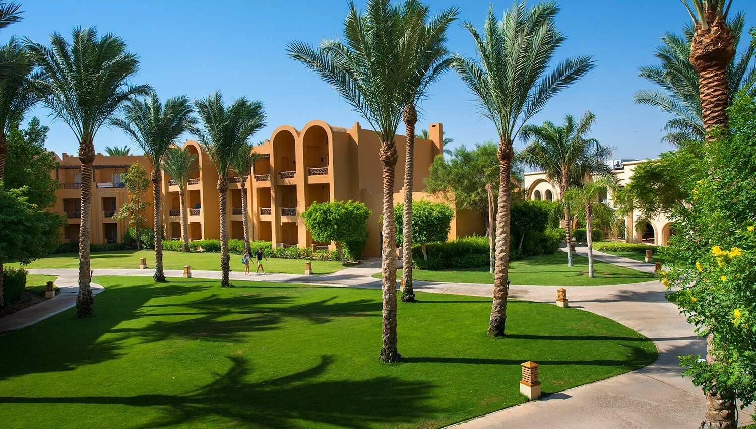 Stella di mare resort 5. Египет,макади,stella di mare beach resort.