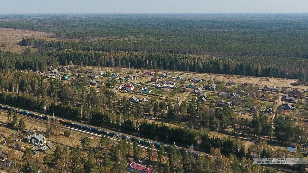 Новгородская область поселок хвойнинское. Песь Хвойнинский район. Поселок Песь Хвойнинского района Новгородской области. Поселок Юбилейный Новгородская область Хвойнинский район. Село Песь Новгородской области.