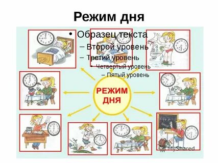 Проект режим дня 2 класс окружающий мир