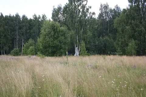 Калужский р н