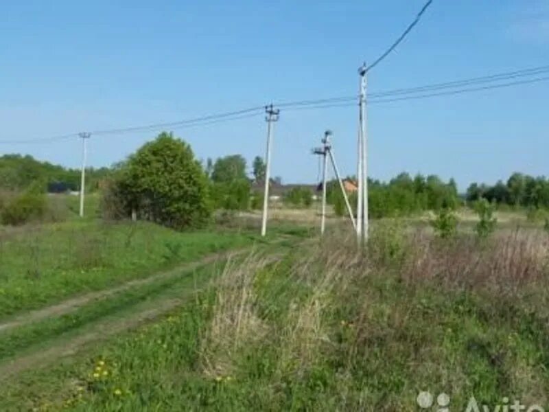 Погода елгозино клинский район. Елгозино Клинский район. Деревня Елгозино. Деревня Елгозино школа. Деревня Елгозино Домодедовского района.