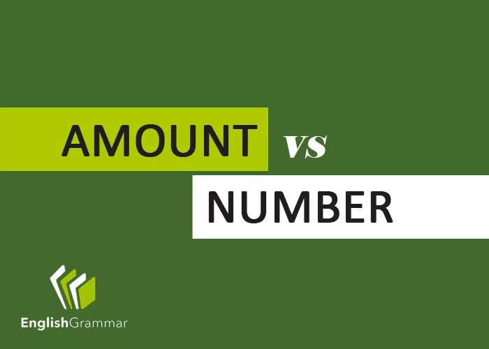 Number quantity. Amount number. amount number quantity разница. amount number различия.