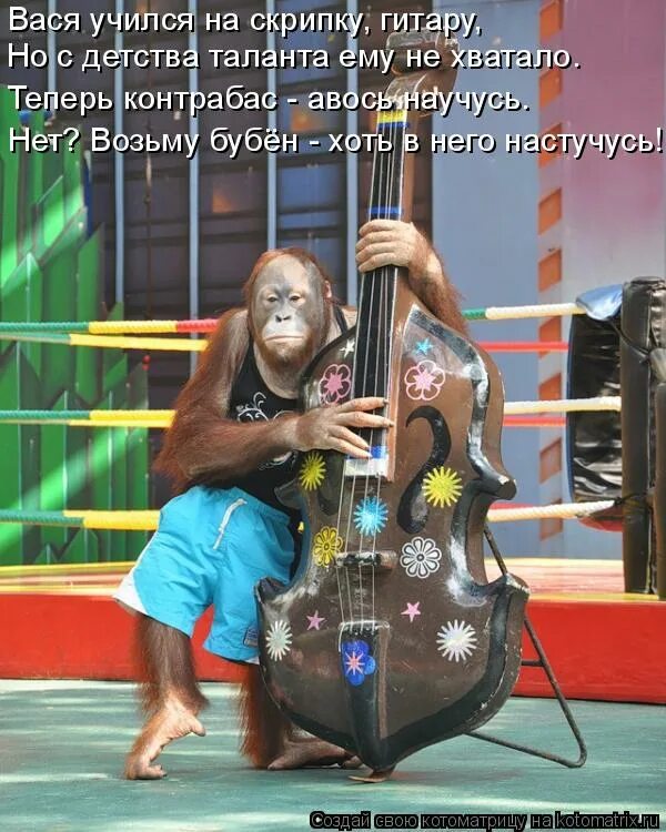 вася любит играть. люблю тебя вася. эх вася вася вася. вася любит играть. я люблю васю картинки.