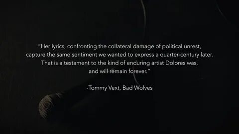 Wolves текст