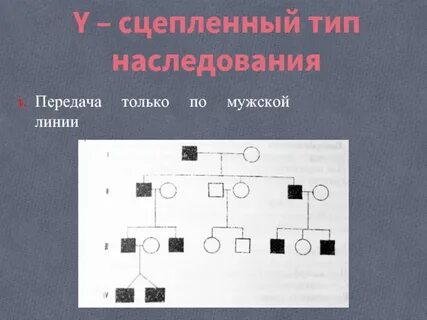 Передача наследственных