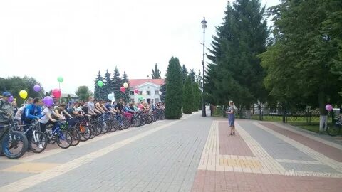 Грязинский грязи