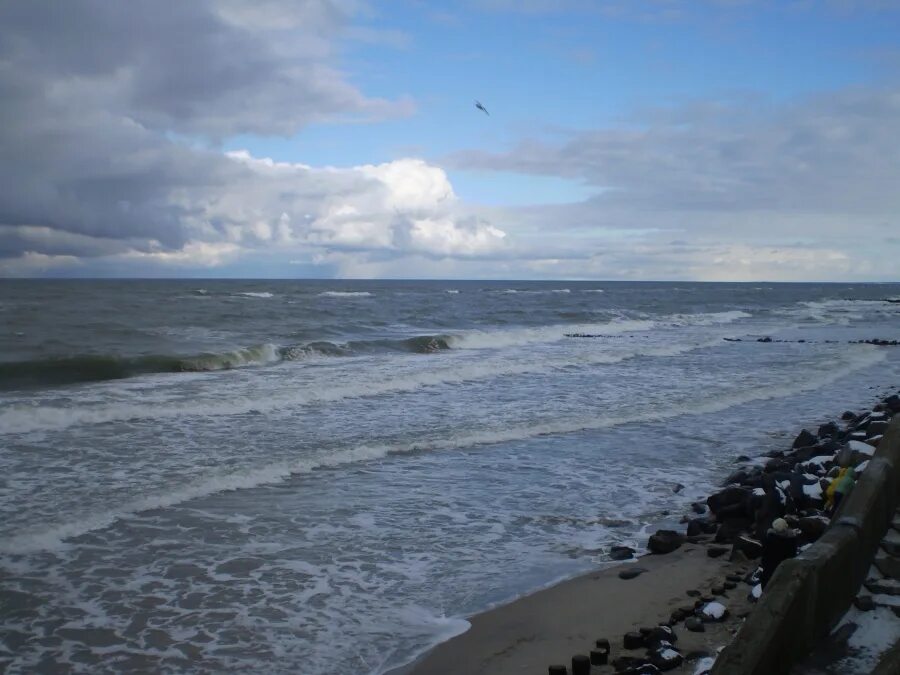 Температура воды в балтийском море зеленоградск. Зеленоградск море фото. Балтийское море Зеленоградск фото. Зеленоградск море какое море. Цвет моря в Зеленоградске.