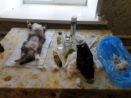 Туалет после наркоза
