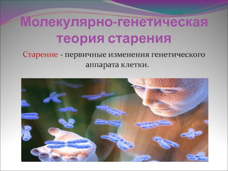 Синтетическая теория эволюции презентация 9 класс. Молекулярно-генетические и биохимические доказательства эволюции. Мутационная теория канцерогенеза. Молекулярно генетические доказательства. Молекулярно генетический теория.
