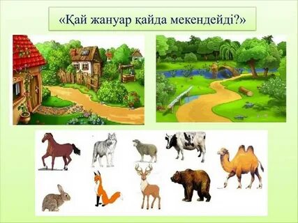 Тәжірибелі қыздарға қалай флирт жасау керек