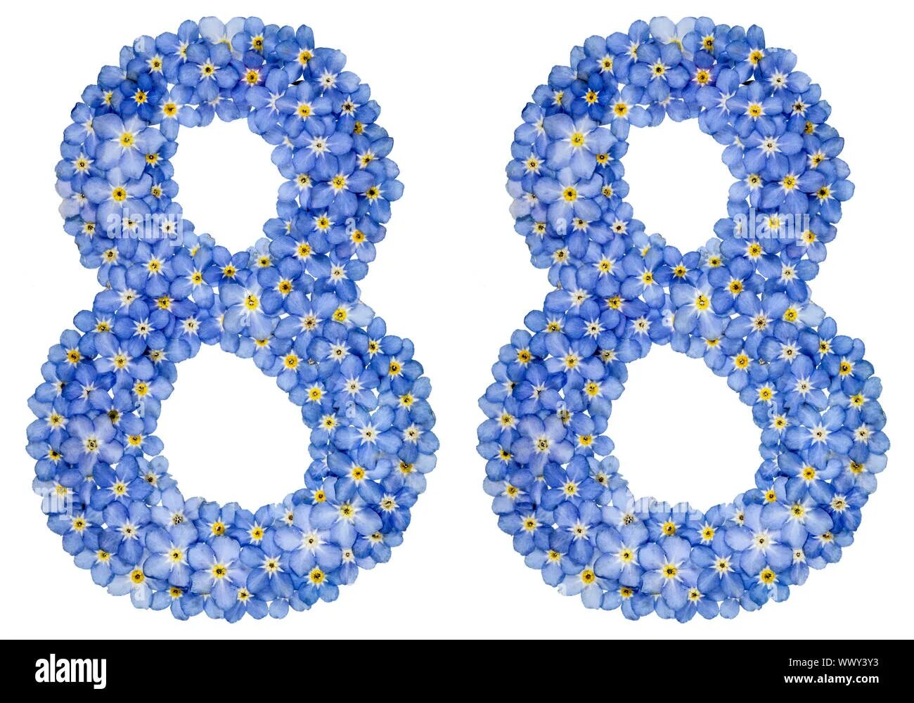 Незабудка цифрами. Цифра 8 из цветов. Восьмерка из цветов. Цифра 8 с цветами. Красивая цифра 88.