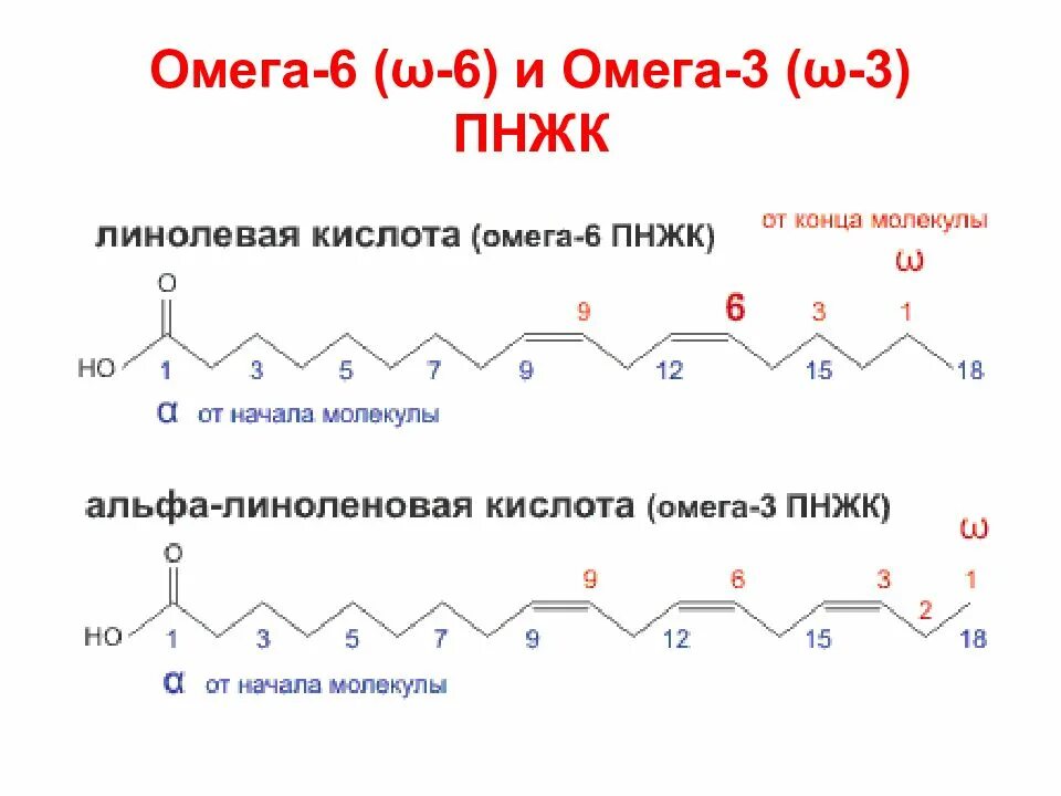 Источники омега 9 жирных кислот тест. Полиненасыщенные жирные кислоты w-3 w-6. Омега 6 жирные кислоты строение. Омега 3 и 6 жирные кислоты. Полиненасыщенные жирные кислоты Омега 3 и Омега 6 биохимия.