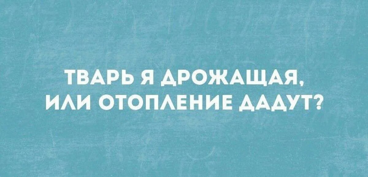 Котенок ап бояться вместе. Ты теребонькаешь?. Теребонькать фасолинку мем. Давай дрожать. Щас сосну мем.