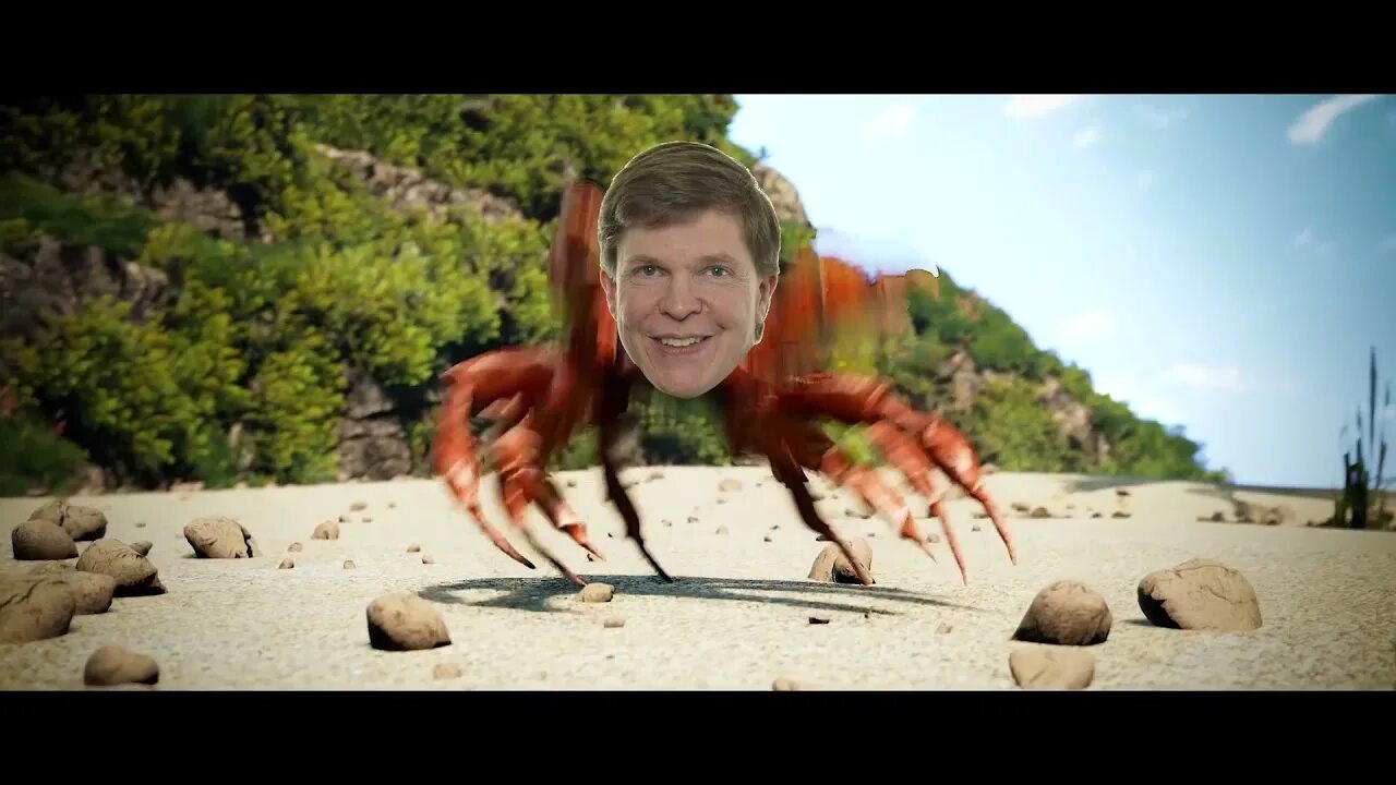 крабовый рейв. танец краба. танцующий крабик. кокс базар бангладеш море. песчаный темный краб.