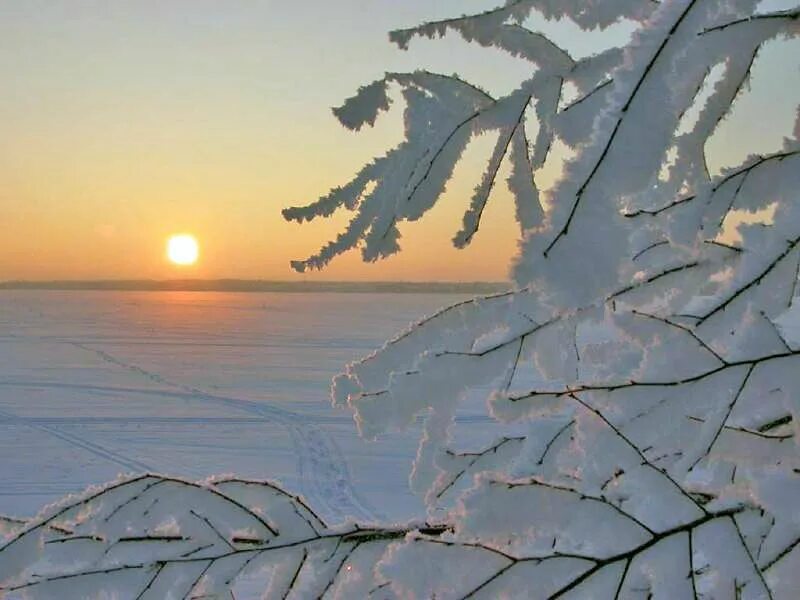 Креативные зимние фотосессии. Картинка мечта зима. Зимнее чудо. Зимняя мечта. Зимняя мечта.