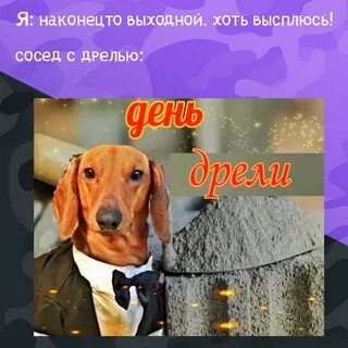 День днч