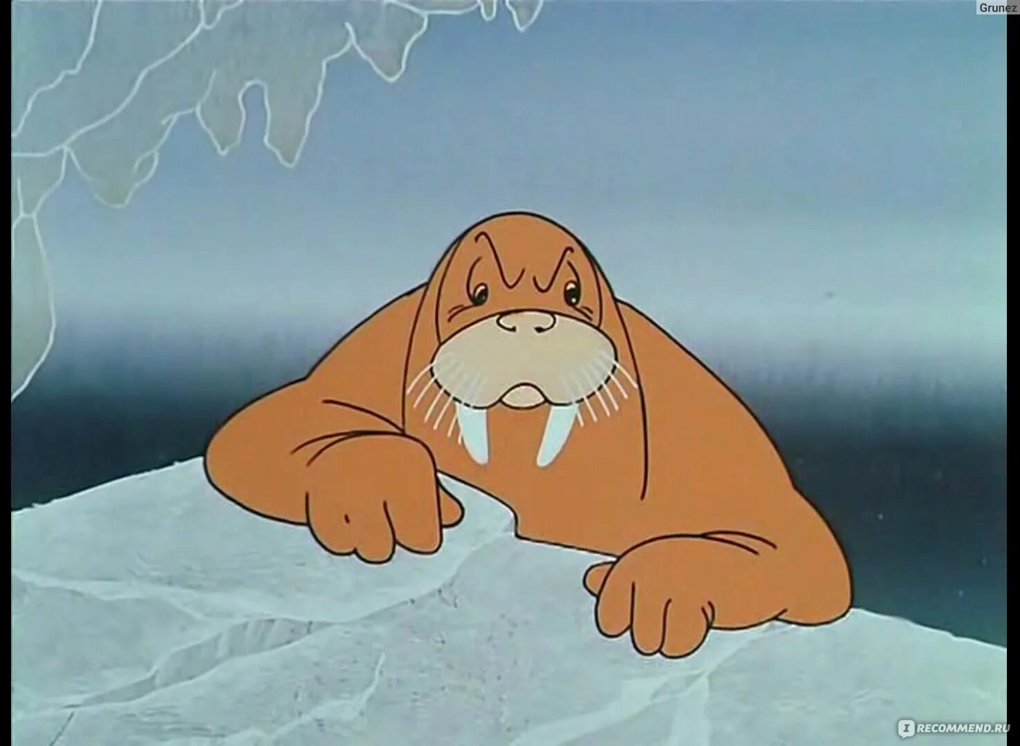 Морж из мультика. Дядя морж. Дядя морж. Морж терентий. Дядя морж.