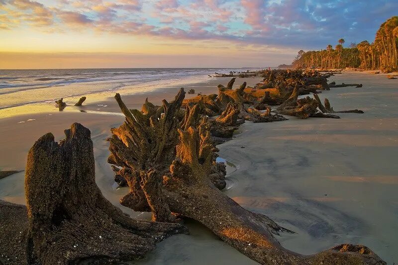 Hunting Island State Park. Остров Хантинг Америка. Hunting Island Lighthouse. Hunt on an Island. Hunter islands