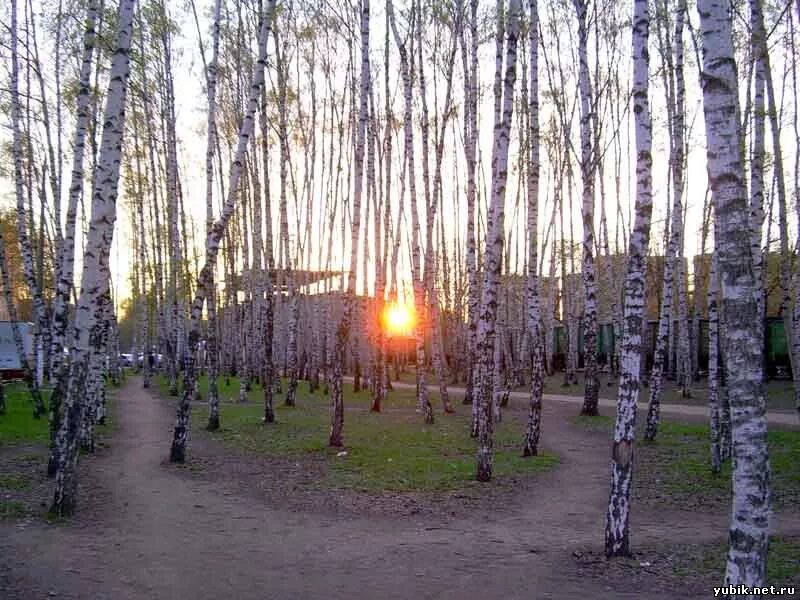 Перейти на страницу с картинкой