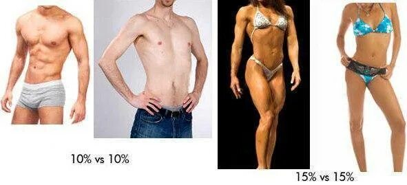 % Жира в организме мужчины. 15 Процентов жира в организме. Маленький жир.