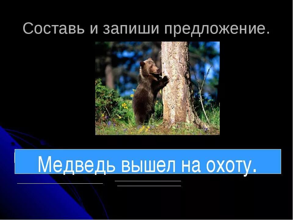 Составить предложение из слов медведь. Предложение про медведя. Предложение со словом медведь. Придумать предложение со словом медведь. Предложение к слову медведь.