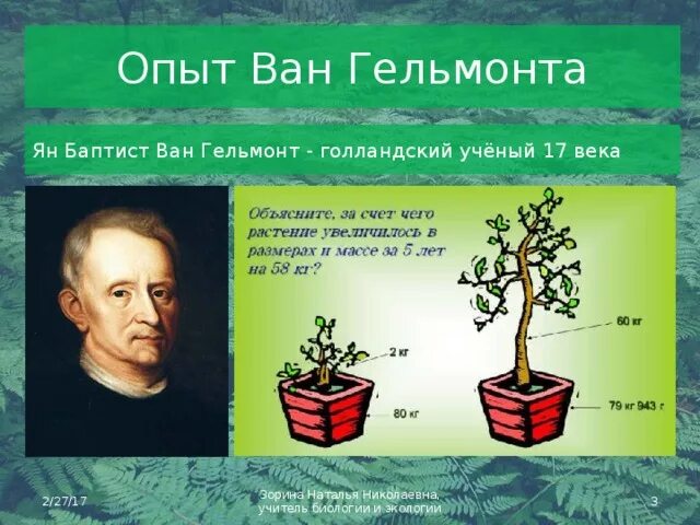 Опыт изображенный на рисунке служит доказательством биология. Ван Гельмонт растения.