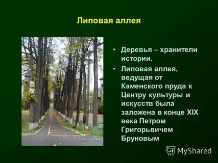 Ширина аллеи