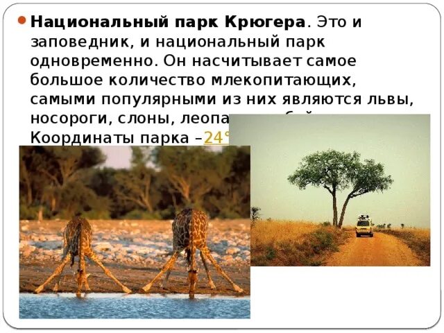 Компоненты природы африки. Заповедники и национальные парки африки. влияние человека на природу. заповедники и национальные парки африки 7 класс. влияние человека на природу презентация.