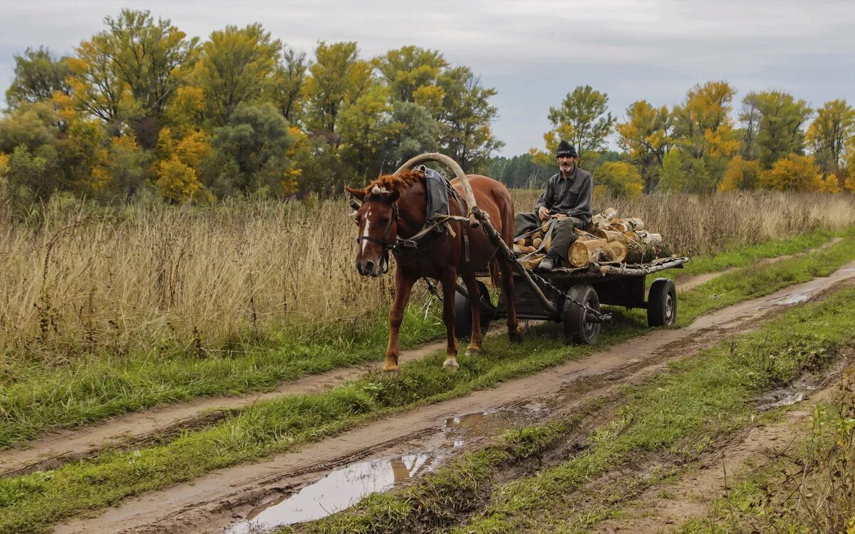 По дороге лошадка. Телега с лошадью. Повозка с лошадью в деревне. Деревенская лошадь с повозкой. Телега в деревне.