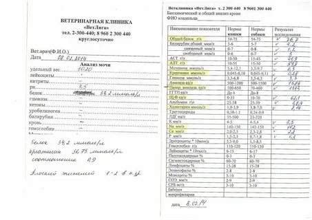Анализ мочи при диабете 2