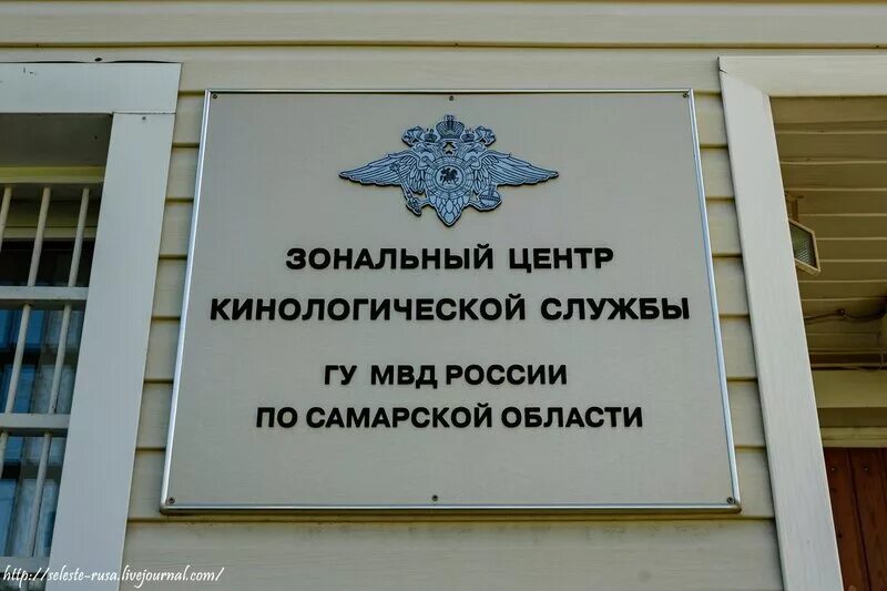 Зональный информационный центр. Кинологический центр самара. центр кинологической службы самара мвд. зональный кинологический центр гу мвд самара. самарский областной кинологический центр.
